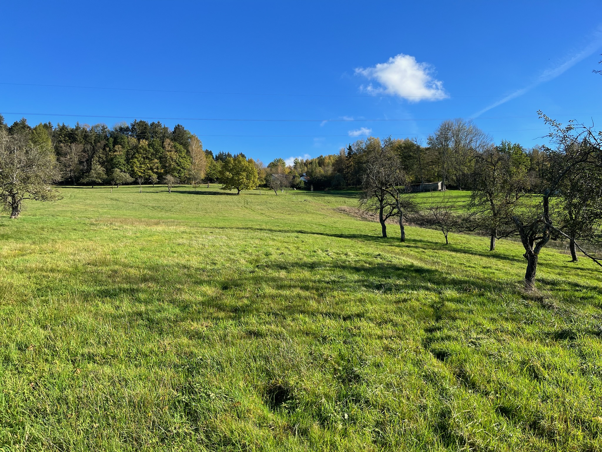 vue des lodges